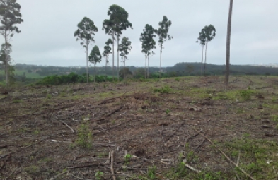 Chácara para venda em Avaré